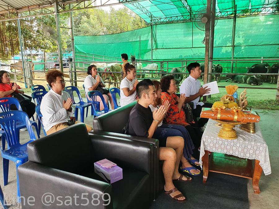 รูปที่ 9 — ทำบุญปล่อยโคกระบือครั้งที่5 ปี2563