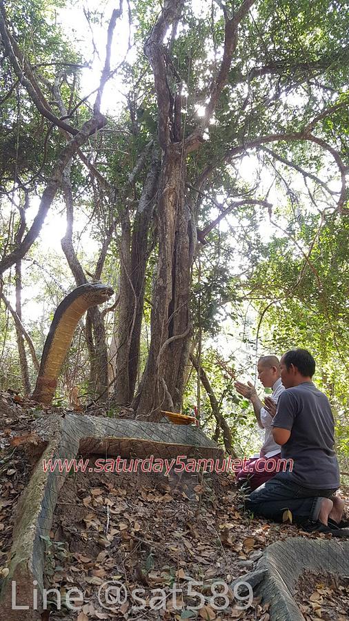 พิธีปลุกเสก "พรายแม่ทองคำ" อาจารย์สุบิน